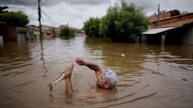 A man catches a fish in floodwaters in Brazil