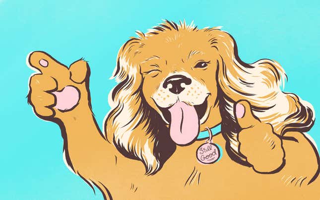 How To Get A Good Dog, And Be A Good Dog Owner