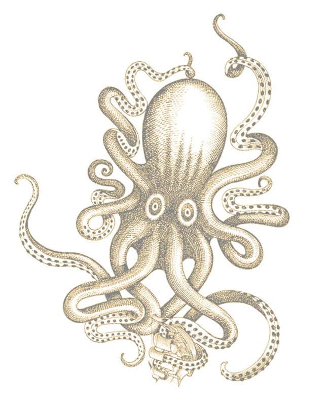 Image for article titled If Squids Ruled Earth, What Would Their Cars Be Like?