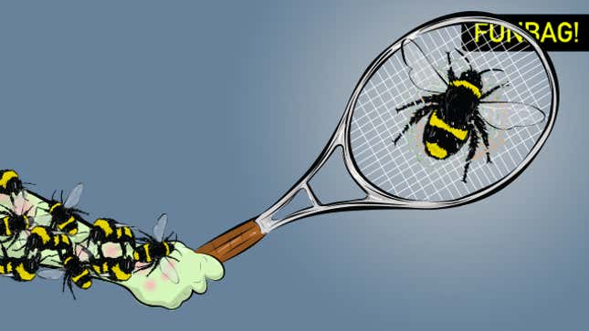 Image for article titled Do Not Fuck With Bees