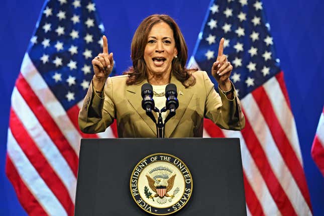 Vizepräsidentin Kamala Harris spricht während einer Wahlkampfveranstaltung im Asian and Pacific Islander American Vote Presidential Town Hall im Pennsylvania Convention Center am 13. Juli 2024 in Philadelphia, Pennsylvania.