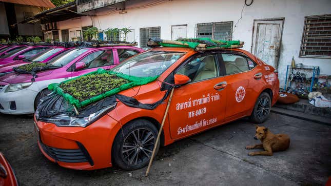 View of the community garden built on top of out of use taxis at the Ratchaphruek Taxi Cooperative on September 13, 2021 in Bangkok, Thailand