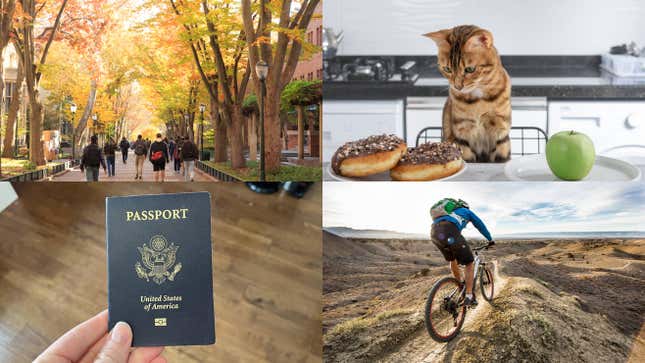 Image for article titled Ivy League salaries, Ozempic for pets, and online passport renewal: Lifestyle news roundup