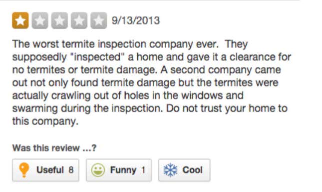 Image for article titled 'A Half-Dozen Large Spiders': Extremely Grim Yelp Reviews of Exterminators