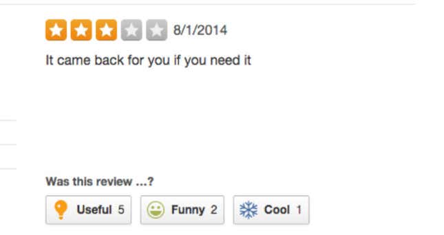 Image for article titled 'A Half-Dozen Large Spiders': Extremely Grim Yelp Reviews of Exterminators