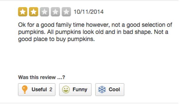 Image for article titled 'I Saw a Cow Chained to a Fence': Surprisingly Grim Yelp Reviews of Pumpkin Patches