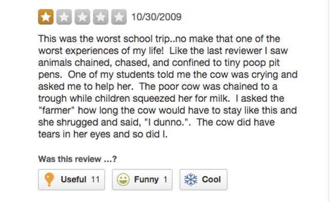 Image for article titled 'I Saw a Cow Chained to a Fence': Surprisingly Grim Yelp Reviews of Pumpkin Patches