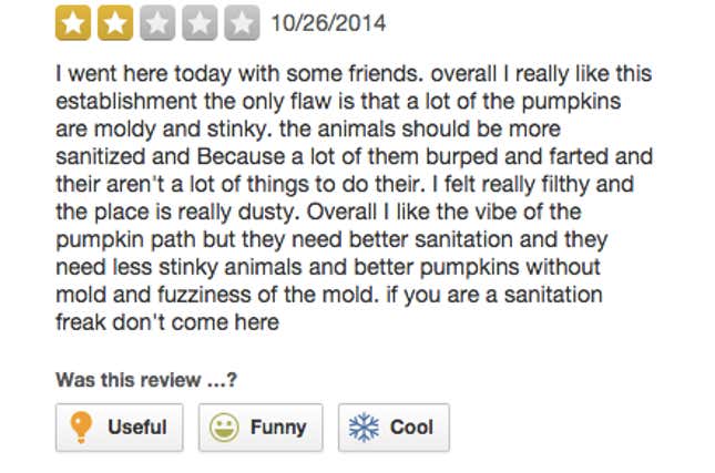 Image for article titled 'I Saw a Cow Chained to a Fence': Surprisingly Grim Yelp Reviews of Pumpkin Patches
