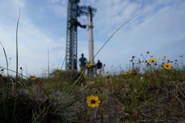 FILE - Visitors look on as SpaceX&#39;s Starship, the world&#39;s biggest and most powerful rocket, stands ready for a scheduled launch from Starbase in Boca Chica, Texas, Wednesday, April 19, 2023. SpaceX would acquire public land in Texas to expand its rocket launch facilities under a tentative deal that is moving forward after months of opposition from nearby residents and some local officials near the U.S.-Mexico border. (AP Photo/Eric Gay, File)