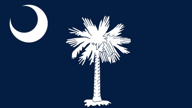 South Carolina state flag