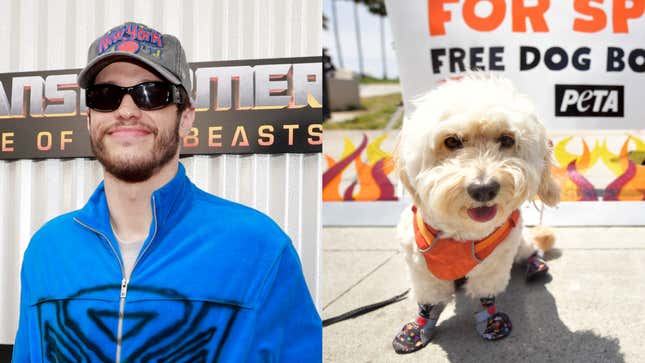 PETA and Pete Davidson are in an increasingly bizarre publicity battle