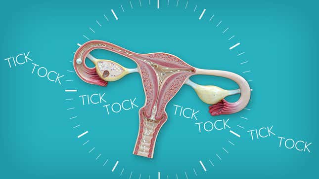 Image for article titled Have Scientists Finally Figured Out How to Turn Off Our Biological Clock?