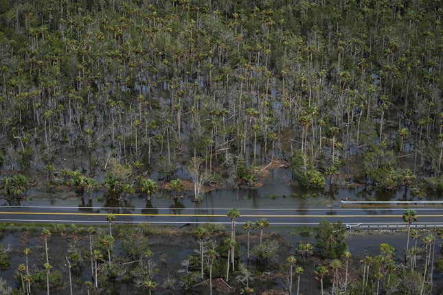 FILE - A road cuts through a flooded area south of Perry, Fla., following the passage of Hurricane Idalia, Aug. 30, 2023. Florida agriculture losses from Hurricane Idalia are estimated at between $78 million and $371 million, with producers also suffering widespread damage to such infrastructure as irrigation rigs and fences. That&#39;s according to a preliminary report Thursday, Sept. 21, 2023 from the University of Florida. (AP Photo/Rebecca Blackwell, file)