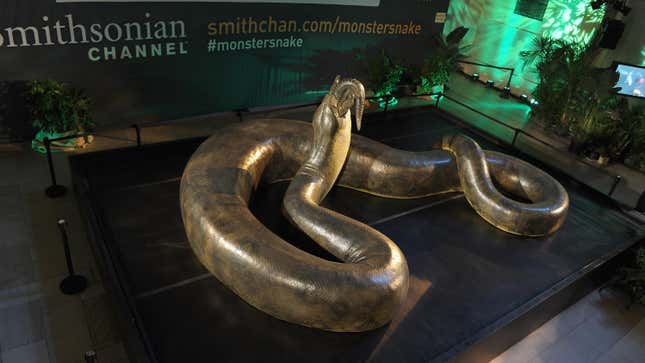 Una serpiente fósil de 50 pies de largo puede ser la más grande que jamás  haya existido