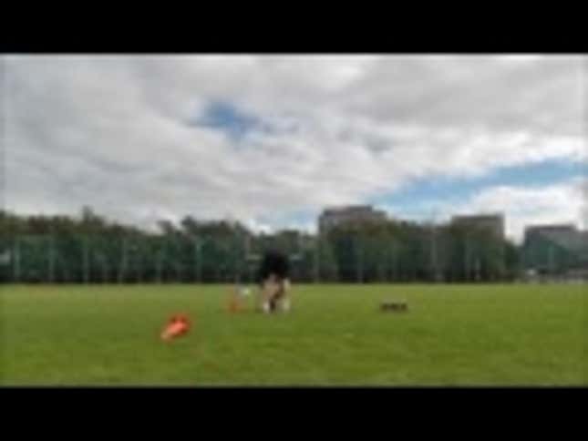 Here's The Youtube Video That Got A Norwegian Kicker A Tryout With The Jets