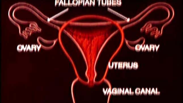 <em>Cup U</em> Is The Best Short Documentary About Menstrual Cups You'll See Today