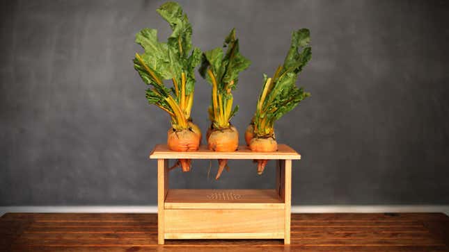 It's A Drum Machine Made Out Of Beets. A <em>BeetBox</em>. Geddit?