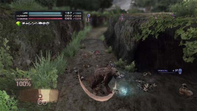 In This Urban Jungle, Bears and Gazelles Fight To Survive