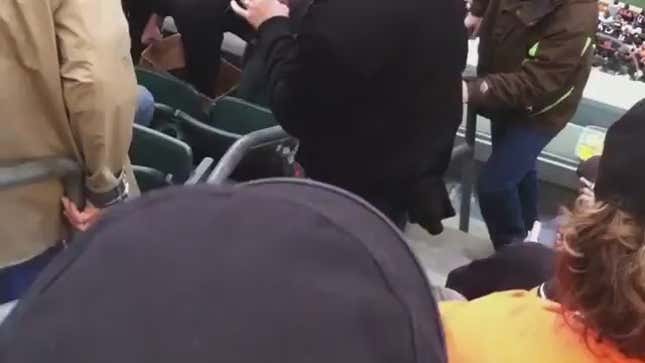 Raccoon Caught Scavenging In The Stands Of Paul Brown Stadium