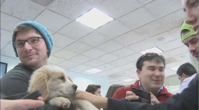 'Puppy Day' Is Best Law School Stress Relief Idea of All Time