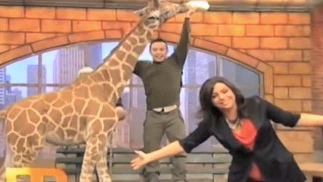 Is Rachael Ray's Talk Show One Giant 'That's What She Said'?