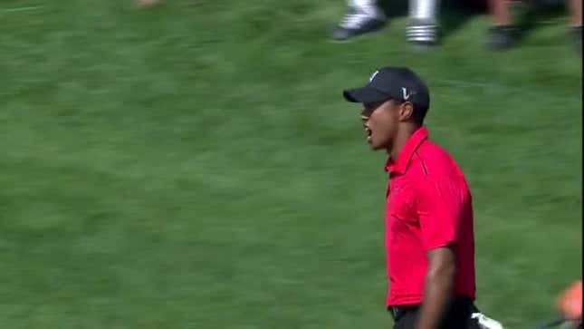 Tiger Woods Streaks Back To Win The Memorial Thanks To This Astounding Chip-In At 16