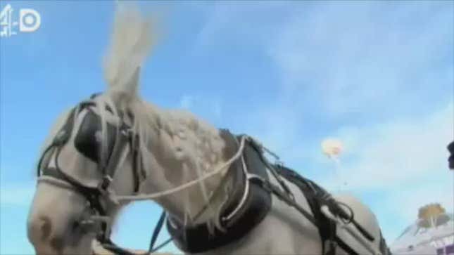 <em>My Big Fat Gypsy Wedding</em> Provokes Backlash