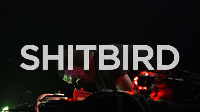 Shitbird Comes Home to Roost After Blip Fest's First Day