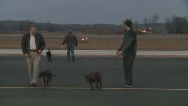 David Backes, Blues Captain, Flew His Plane 700 Miles To Rescue Three Stray Dogs