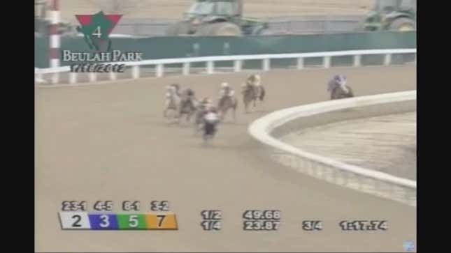 Well, This Is Pretty Much The Worst Ending For A Horse Race