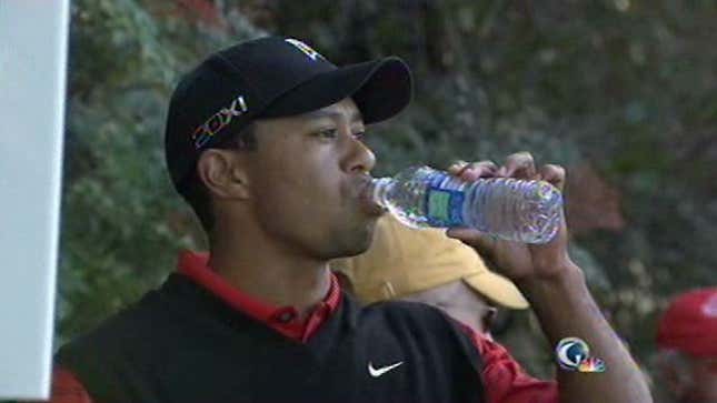"Mashed Potatoes!" Is Tiger's New "Get In The Hole!"
