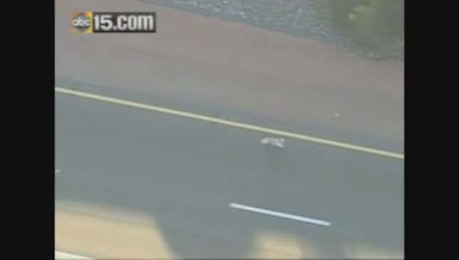 Puppy On Freeway Makes For Most Adorable Police Chase Ever