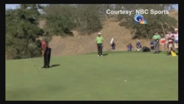 The Tiger Woods Hot Dog Assault Was Caught On Tape