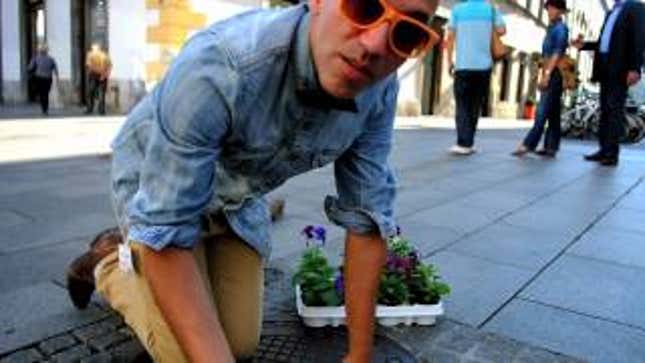 A Beautiful Response to Homophobia: The Pansy Project