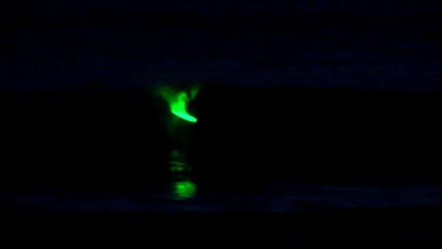 Night Surfing With LEDs Is Even Cooler Than It Sounds