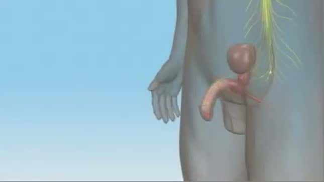 These Tongs Are Actually an FDA-Approved Vibrator for Men (NSFW)