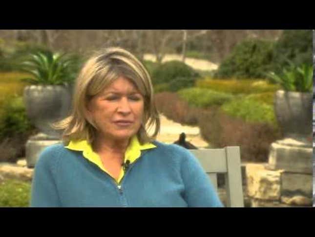 One Time Martha Stewart Tried To Make A Match.Com Profile