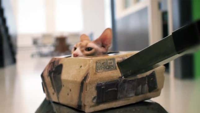 Cats in Tanks Wreak Pure Havoc