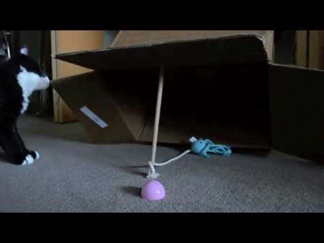 Box Catches Cat, With A <em>Final Fantasy</em> Twist