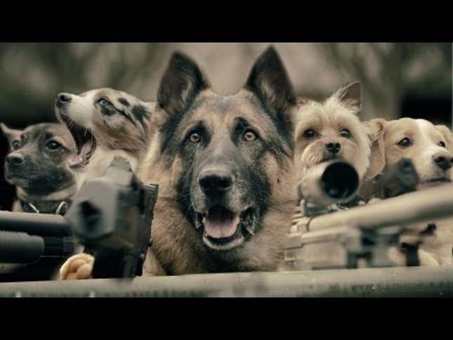 This Is Why We Should Never, Ever Have A Dog For President