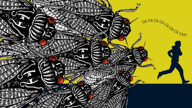 Image for article titled How to Roll Out the Welcome Wagon for Your New Cicada Neighbors