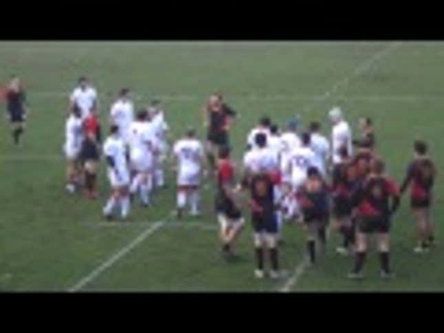 Big Rugby Brawl Will Leave You Wanting More
