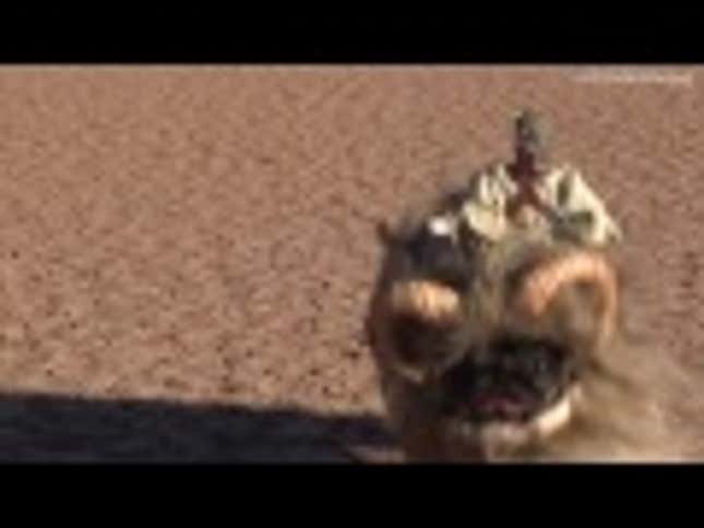 Here's a Leaked Scene from the New Star Wars Movie