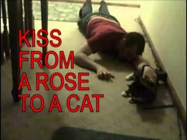 This Is How You Serenade Your Cat While Drunk