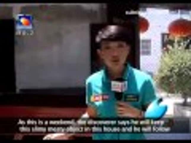 'Mystery Mushroom' or Sexy Sex Toy? Local News Investigates