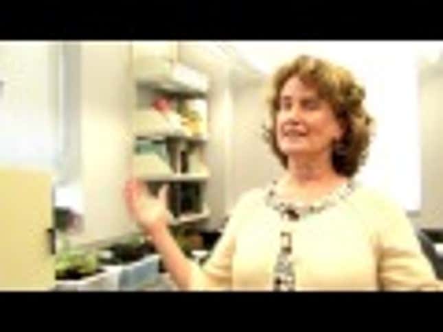 Duke Scientists Reinvent Lady Gaga as a Fern, Give Her Her Own Plant Species