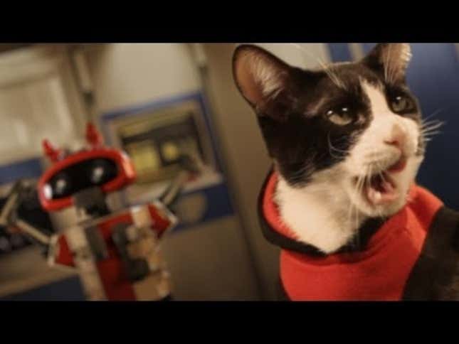 Cats in Space: Because Cats Are Too Cool for One Planet Alone