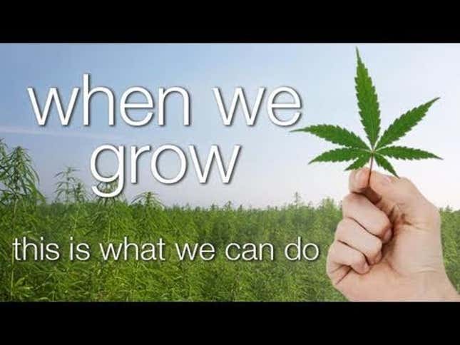 Underground Gardens, Double Dank Documentaries, and NY Wants Its Weed
