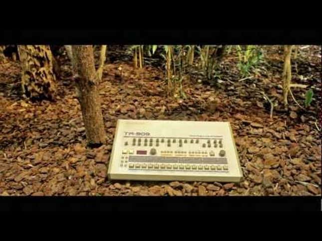 Meet Your Next Superstars of Electronic Music: A Bunch of Monkeys