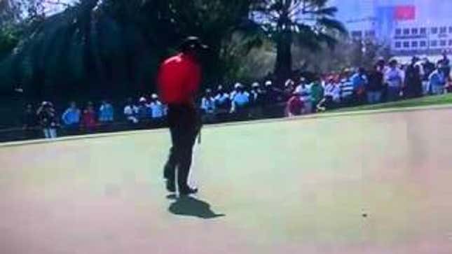 Tiger Woods Spits On The Green, Golf Gets All Offended